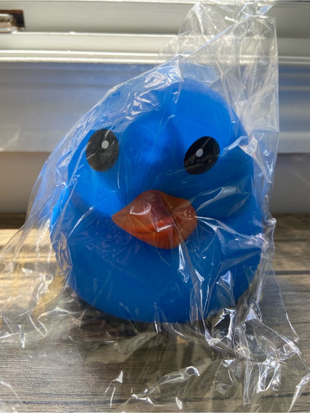 Sunny Days Blue Rubber Duck Squishy Toy NWT